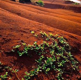 《超级猴子球1&2重制版》《女神异闻录5》的“摩尔加纳”确定作为DLC登场